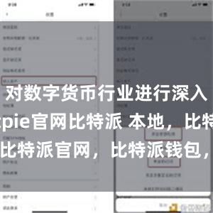 对数字货币行业进行深入研究bitpie官网比特派 本地，比特派官网，比特派钱包，比特派下载